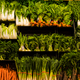 A U.S. supermarket’s vegetable selection / Liz West